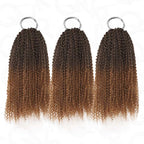 QVR Premium Chinese Hair Afro Kinky Curly Virgin Human Crochet Hair Ombre #T2/30 Machine Made Feather Crochet Hairstyles
